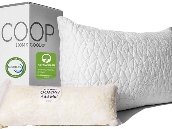 coop pillow amazon